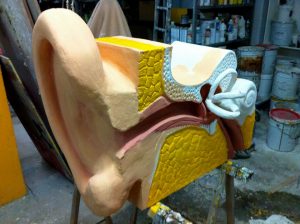 maquetteoreille